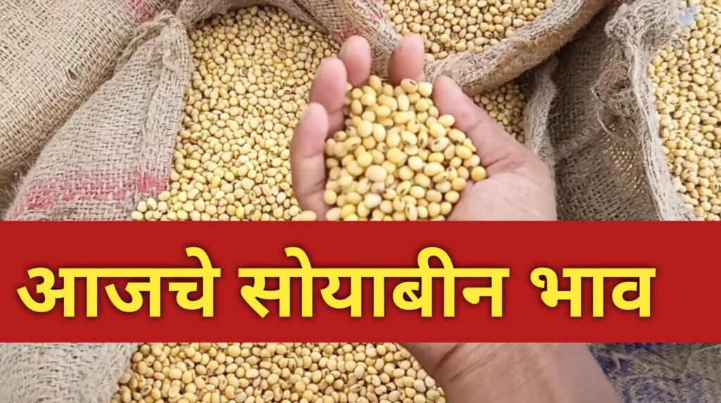 Today soyabean bajar bhav