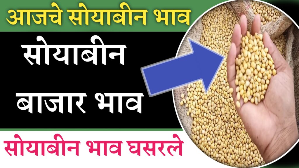 Soyabean rate today 