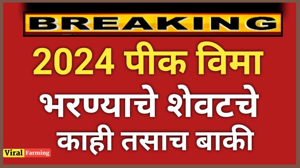 Kharip 2024 Pik Vima; पीक विमा लवकर भरा अवघे काही तासच बाकी.