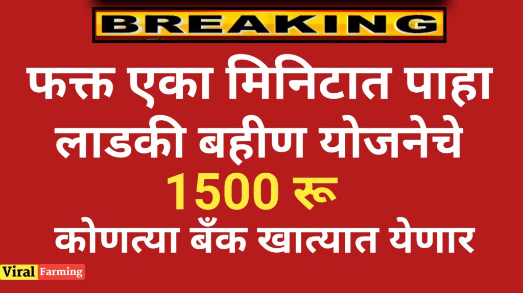 फक्त एका मिनटात पाहा लाडकी बहिण योजनेचे पैसे तुमच्या कोणत्या बँक खात्यात येणार..