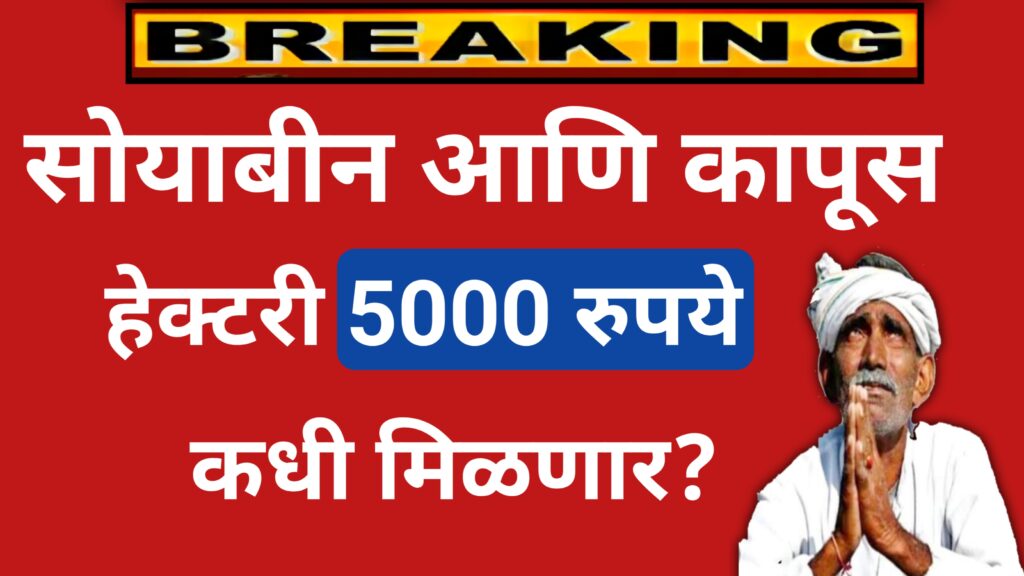 सोयाबीन आणि कापूस हेक्टरी 5000 मदत कधी मिळणार